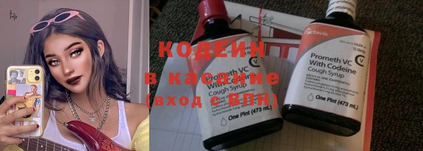 индика Касимов