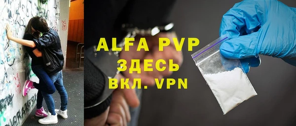 индика Касимов