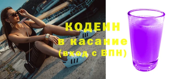индика Касимов