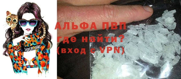 индика Касимов