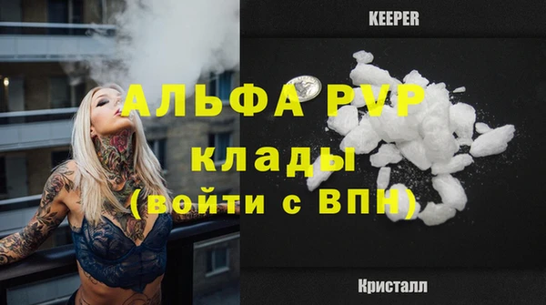 индика Касимов