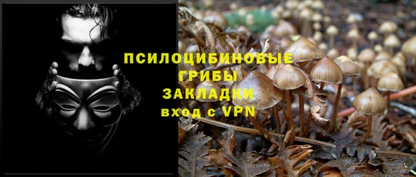 индика Касимов