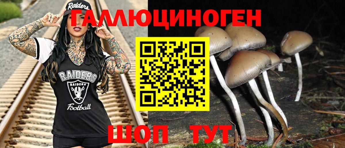 Галлюциногенные грибы прущие грибы Новочеркасск