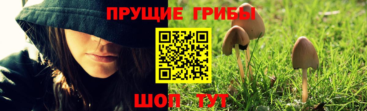 где купить наркотик  Вход с VPN  Новочеркасск  Псилоцибиновые грибы мухоморы  Псилоцибиновые грибы Psilocybine cubensis 